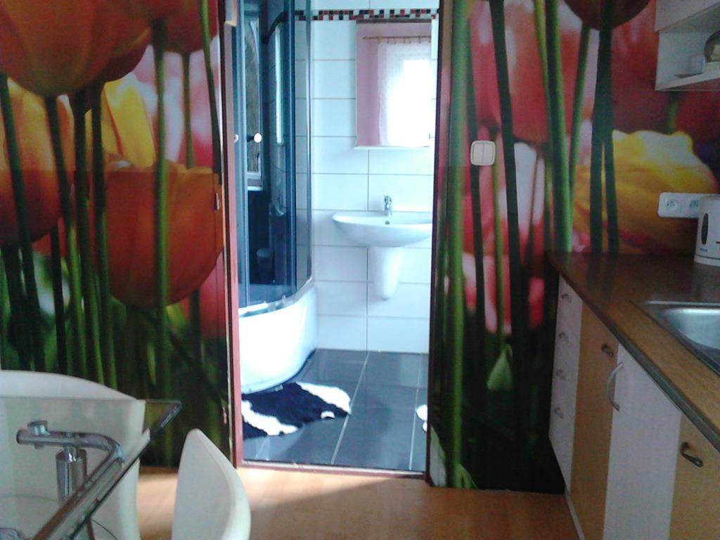 Jiřetínská chaloupka Apartamento Jiřetín pod Jedlovou Exterior foto